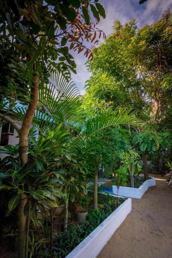 Comfort Beach Hotel Vịnh Arugam Ngoại thất bức ảnh